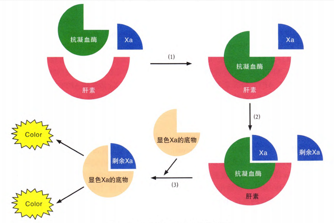 国产抗Xa质量如何？多中心临床研究来告诉你！